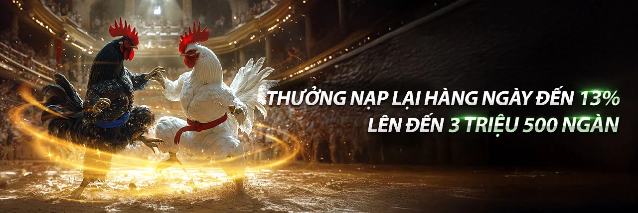 Sân đấu đá gà trực tuyến sôi động tại 18win